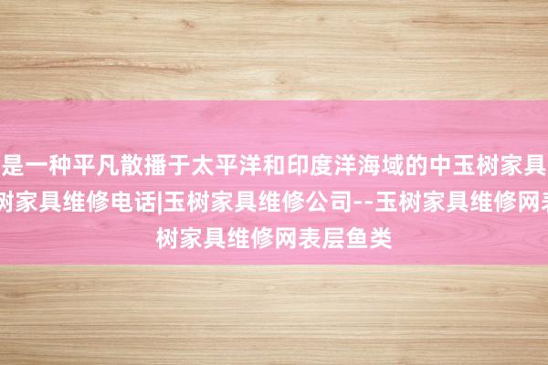 是一种平凡散播于太平洋和印度洋海域的中玉树家具维修|玉树家具维修电话|玉树家具维修公司--玉树家具维修网表层鱼类