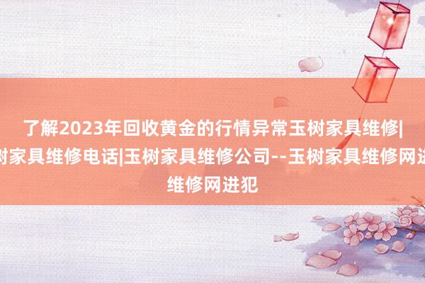 了解2023年回收黄金的行情异常玉树家具维修|玉树家具维修电话|玉树家具维修公司--玉树家具维修网进犯