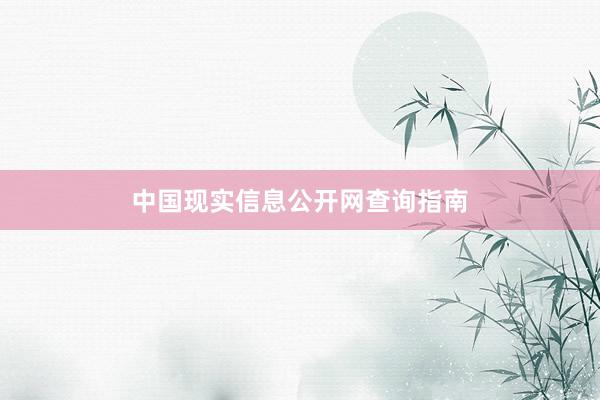 中国现实信息公开网查询指南