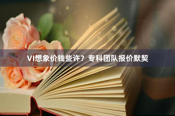 VI想象价钱些许？专科团队报价默契