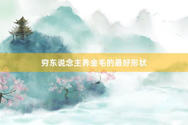 穷东说念主养金毛的最好形状